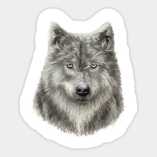 Grey Wolf Sticker